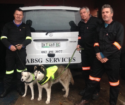Stowaway searches with trained search dogs